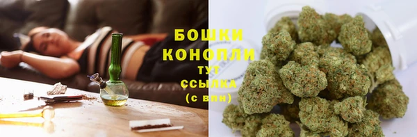 ECSTASY Магас