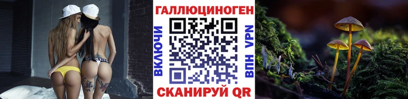 дарнет шоп  Янаул  Псилоцибиновые грибы мицелий 