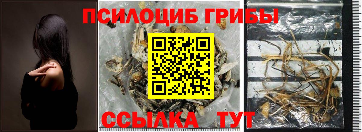 купить закладку  Псилоцибиновые грибы мухоморы  Вход с VPN  Янаул 